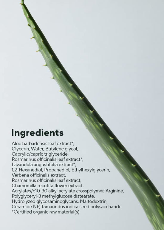 AROMATICA Aloe Aqua Cream, Crema Hidratante de Aloe Vera 150gr