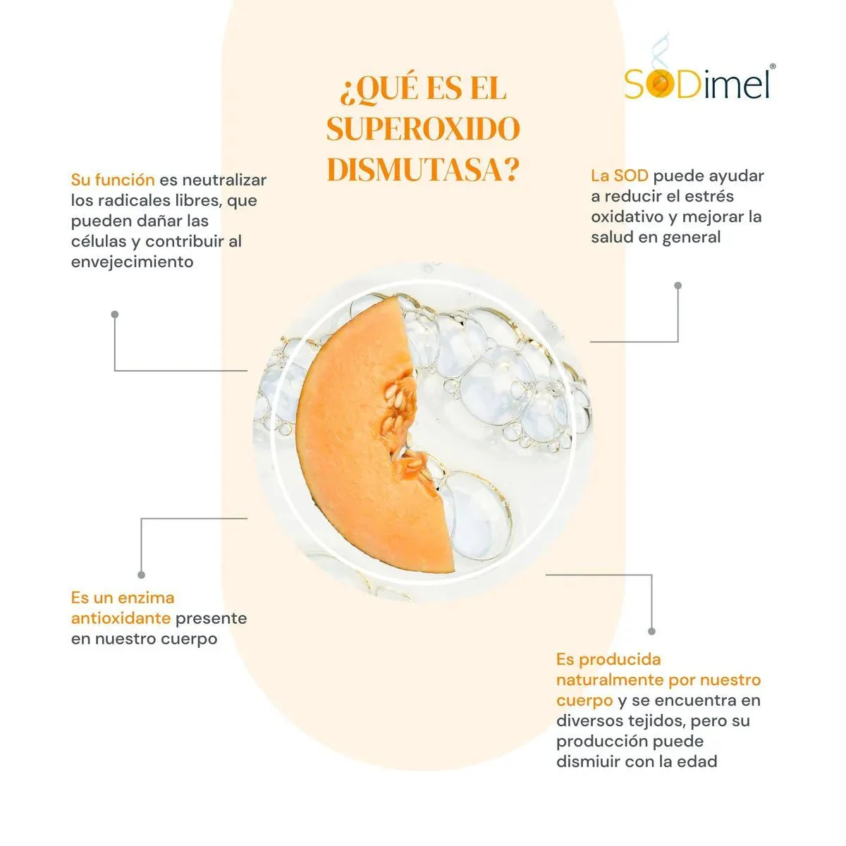 FARMAPIEL Sodimel Antioxidante 30 Cápsulas, Reduce el Estrés Oxidativo