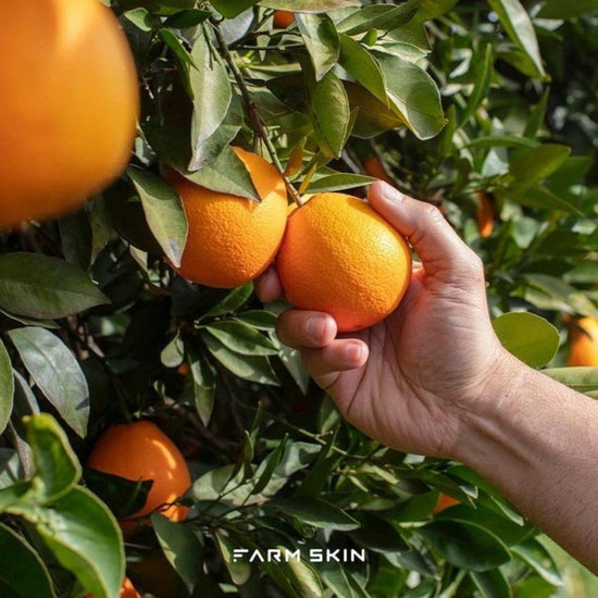 FARM SKIN Superfood For Skin Facial Sheet Mask Orange Refreshing
